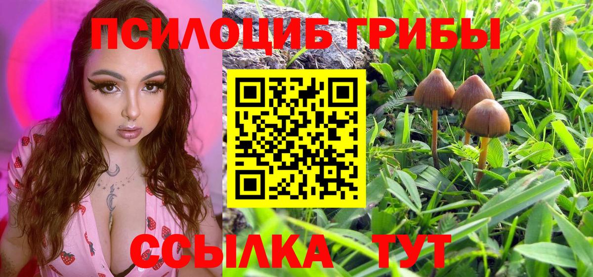 хочу   Галлюциногенные грибы мухоморы  Вход с VPN  Красноуфимск 