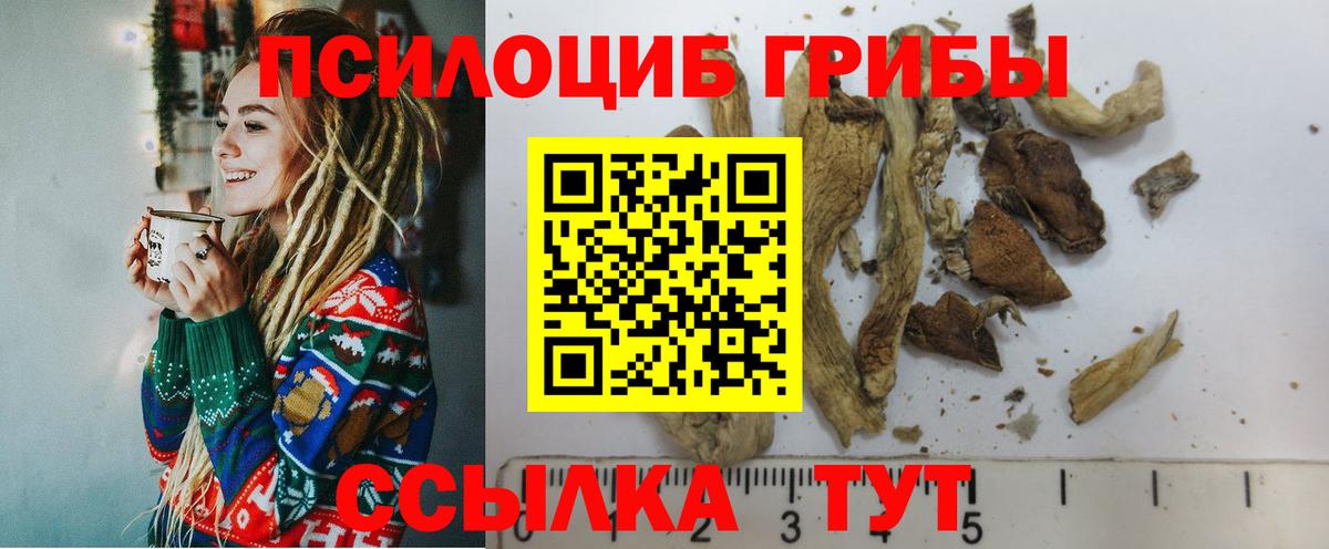 Галлюциногенные грибы прущие грибы Красноуфимск