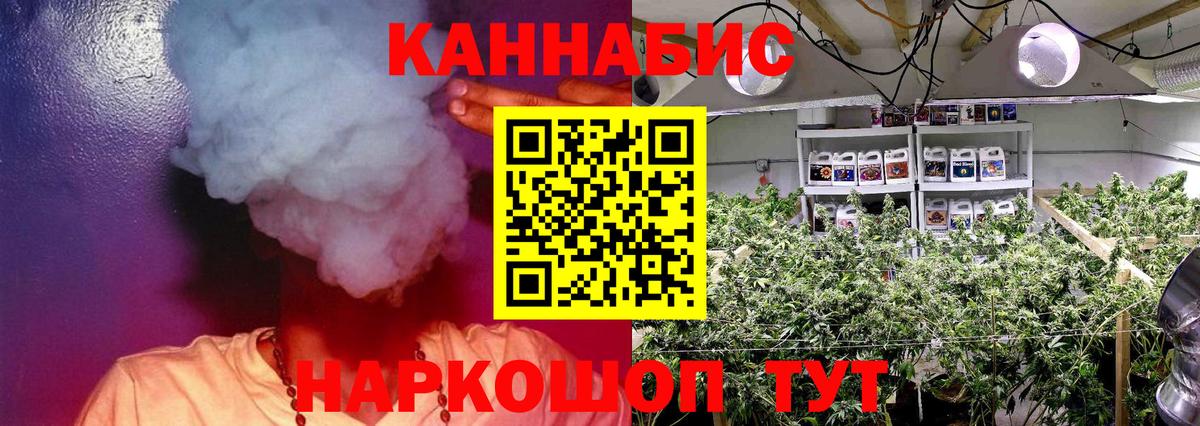 Красноуфимск  Бошки Шишки планчик  Бошки Шишки Bruce Banner  Вход с VPN  Бошки марихуана OG Kush 